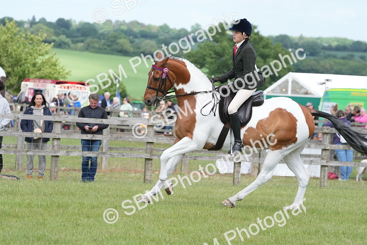 SBM_17600 - Class 107-108 - LIHS BSPS Performance Coloured Horse Pony