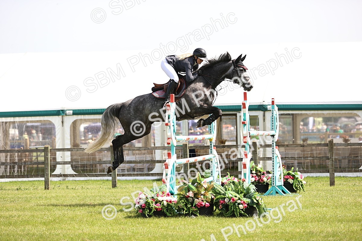 SBM_03239 - Class 201 - British Horse Feedds Speedi Beet HOYS Grade C