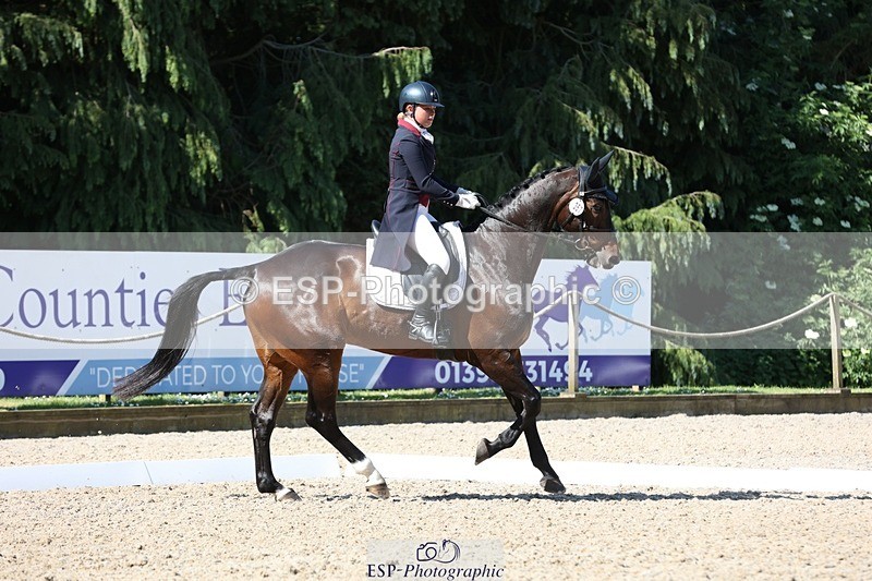 230526-094400-05145 - 357-VIVENDI_HERO-Saffron_Cresswell-WEDTrotUp+DR