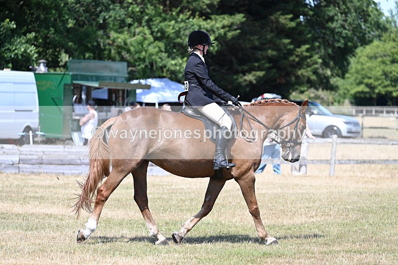 WJ7_3637 - Class 8 Ridden Veterans