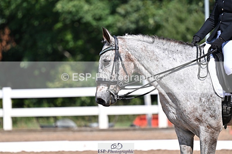 250816-111939-03710 - 139-Alice.MckinnonLlanthony.Erehwon