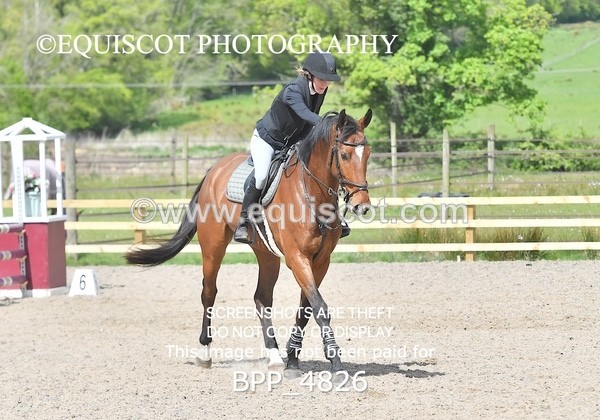 BPP_4826 - CLASS 14  SAT Senior British Novice/ 90cm Open