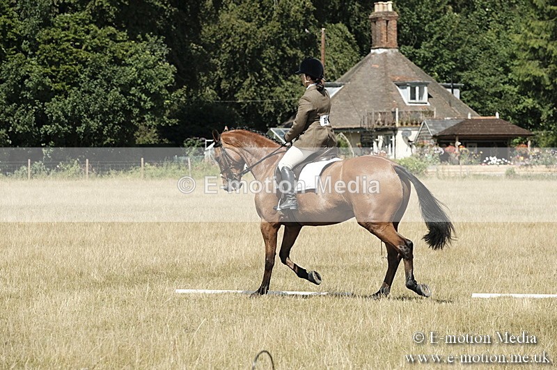 _PJP5834 - Dressage Classes BVRC Show 2018