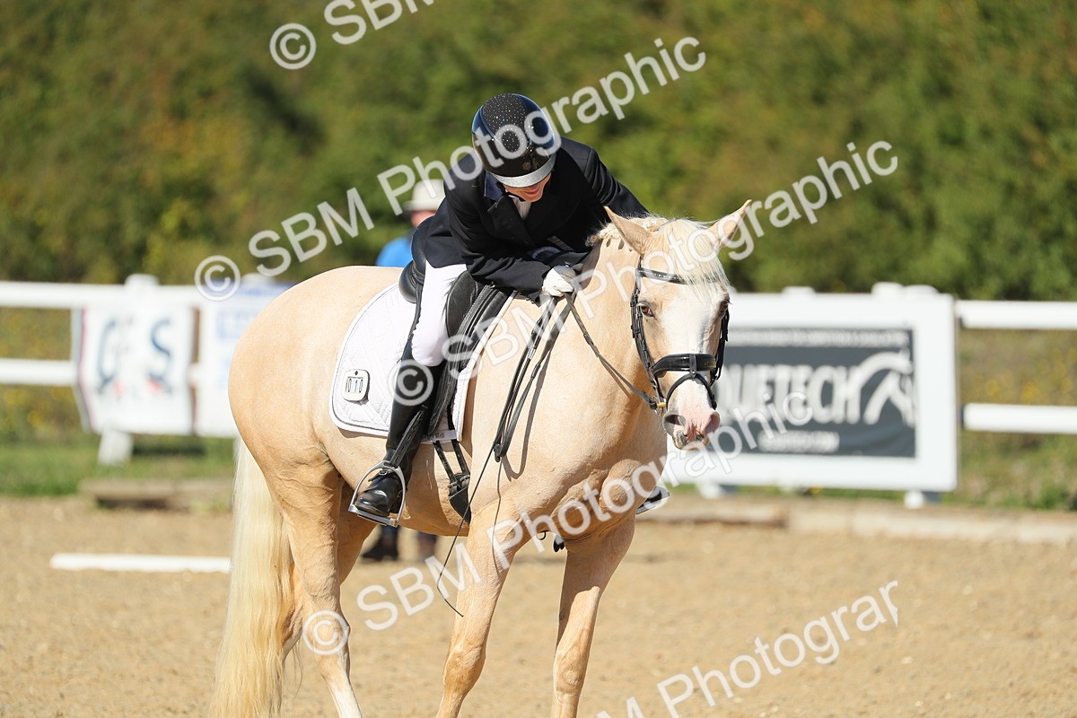SBM_001567 - Class 7 - E4