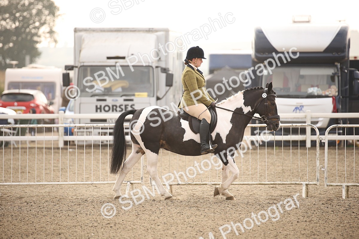 SBM_09816 - Class 401 Riding Club Pony