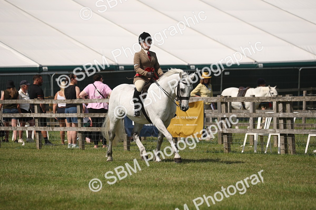 SBM_07660 - Class 26-30 - Mountain and Moorland Ridden