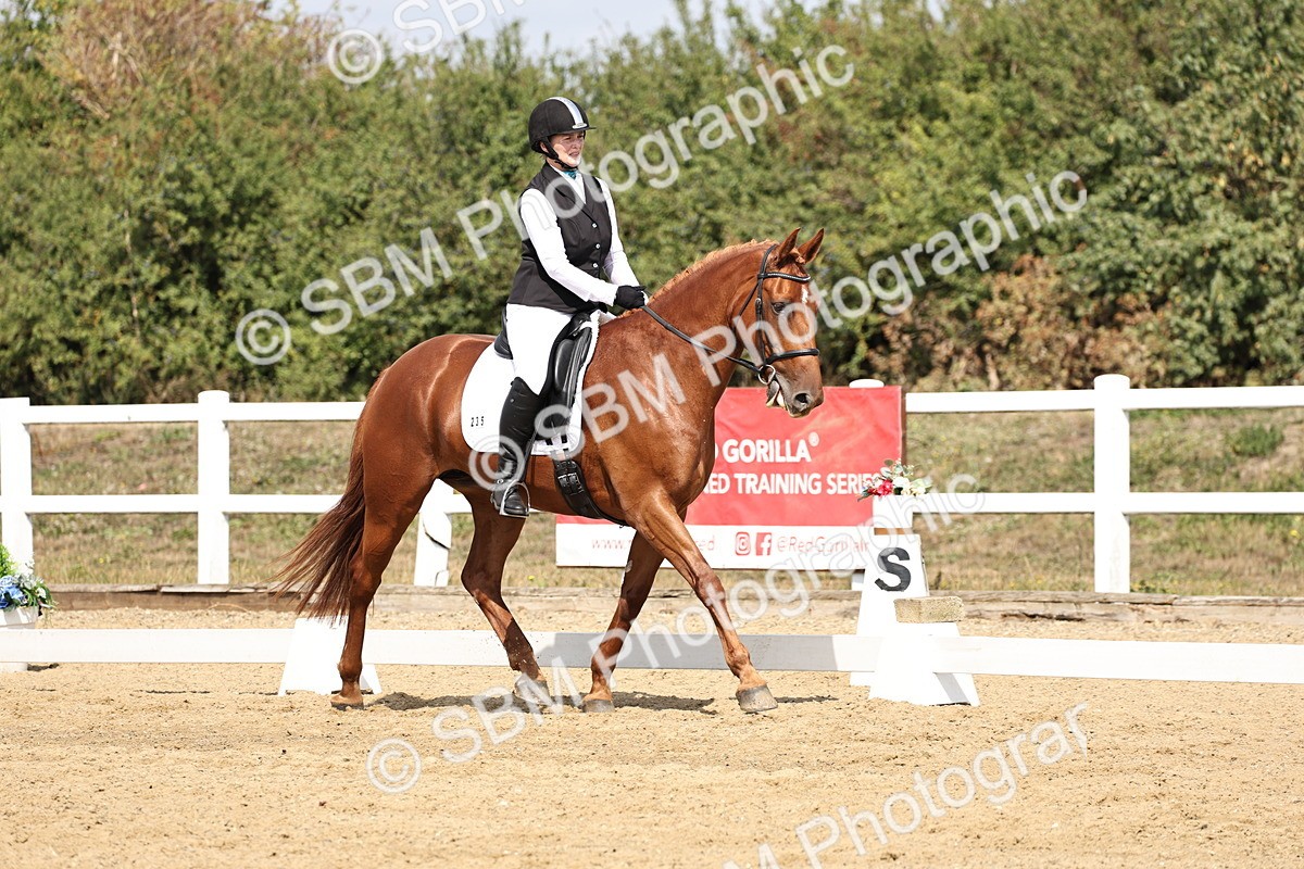 SBM_018379 - Class 16 - Novice 5 - 11.12-12.01