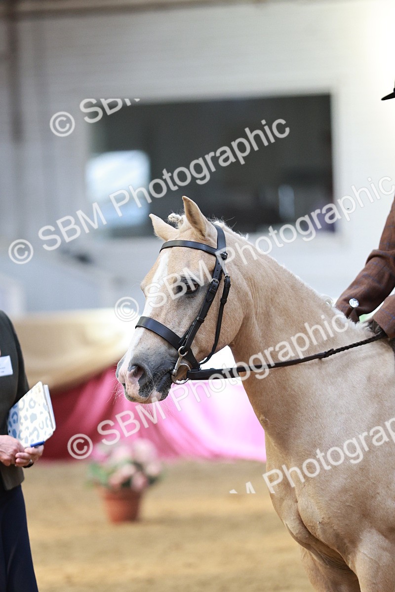 SBM_07192 - Class 10R - Regional Ridden Diamond