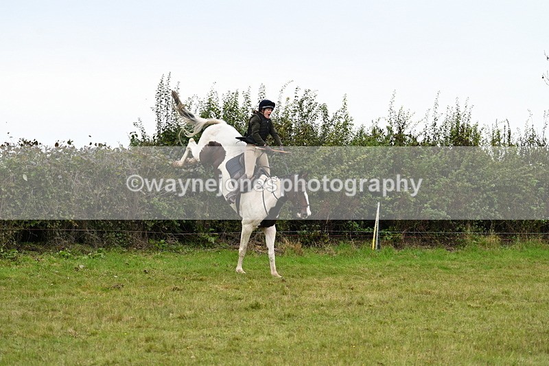 WJ7_4184 - Camera 1 Line 2