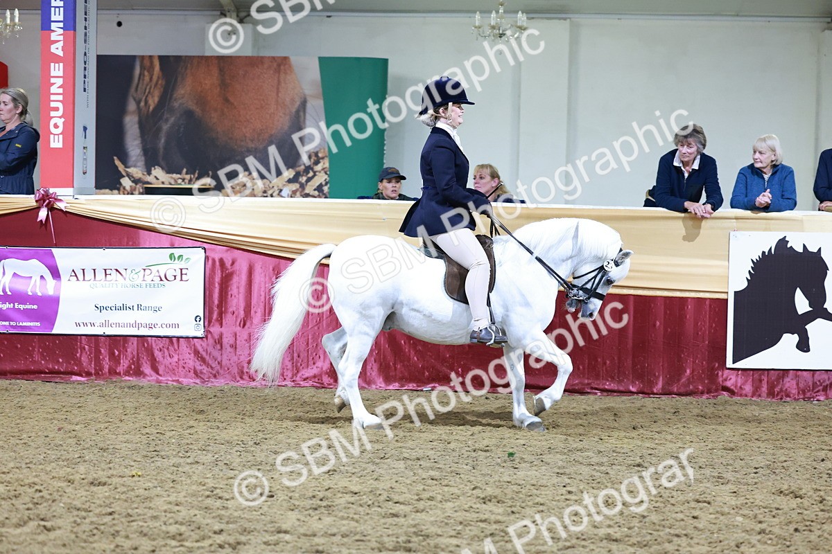 SBM_21065 - Class P - M&M Champs