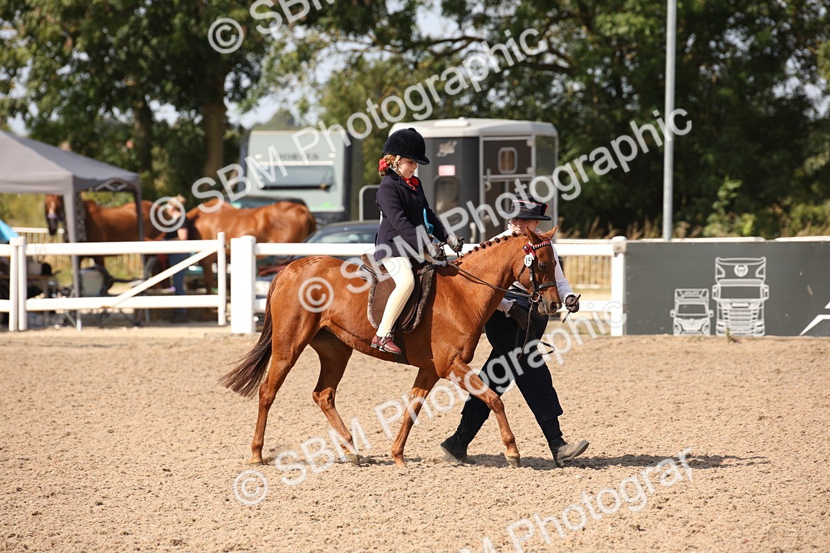 SBM_03089 - Class 17 Prettiest Mare IH or Ridden