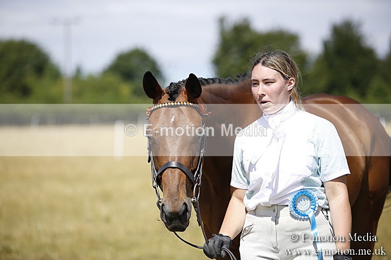 _C7A9686 - BVRC Sow 2018 Ring 2