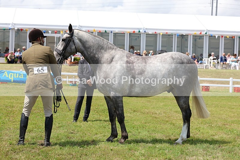 3E7A2189 - Class 10: Open Cob