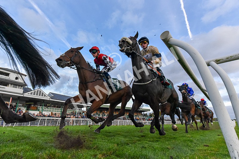 171026-Race 8-Gentle Warrior-8705 - Race 8 5.15pm Go Racing In Yorkshire Future Stars Apprentice Handicap