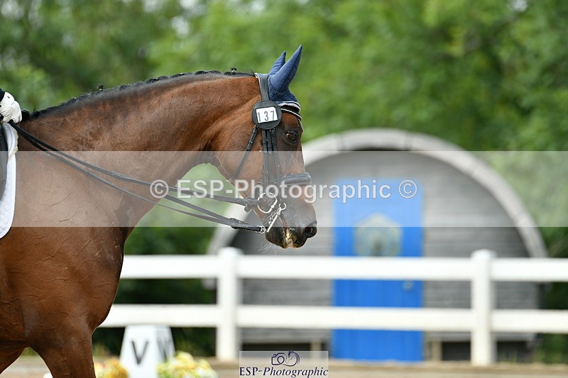 230701A-150402-07011 - Cls 17, 20, 11 + 21 Music PSG, Inter II, Advanced 101 + FEI GP