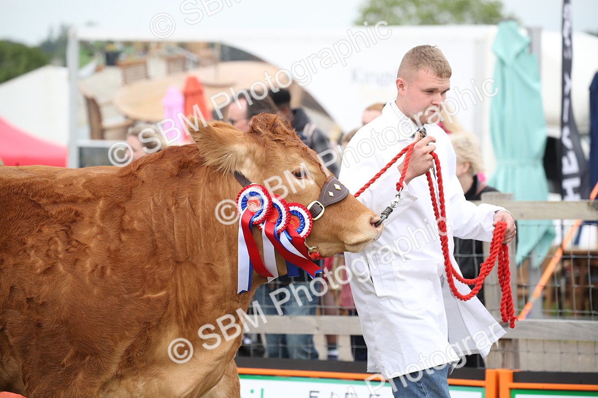 SBM_07846 - Grand Parade