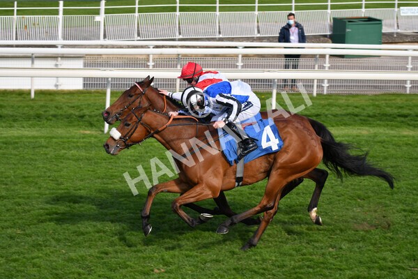 yr13052021r7-27 - Race 7 4.50pm Autohorn Stakes