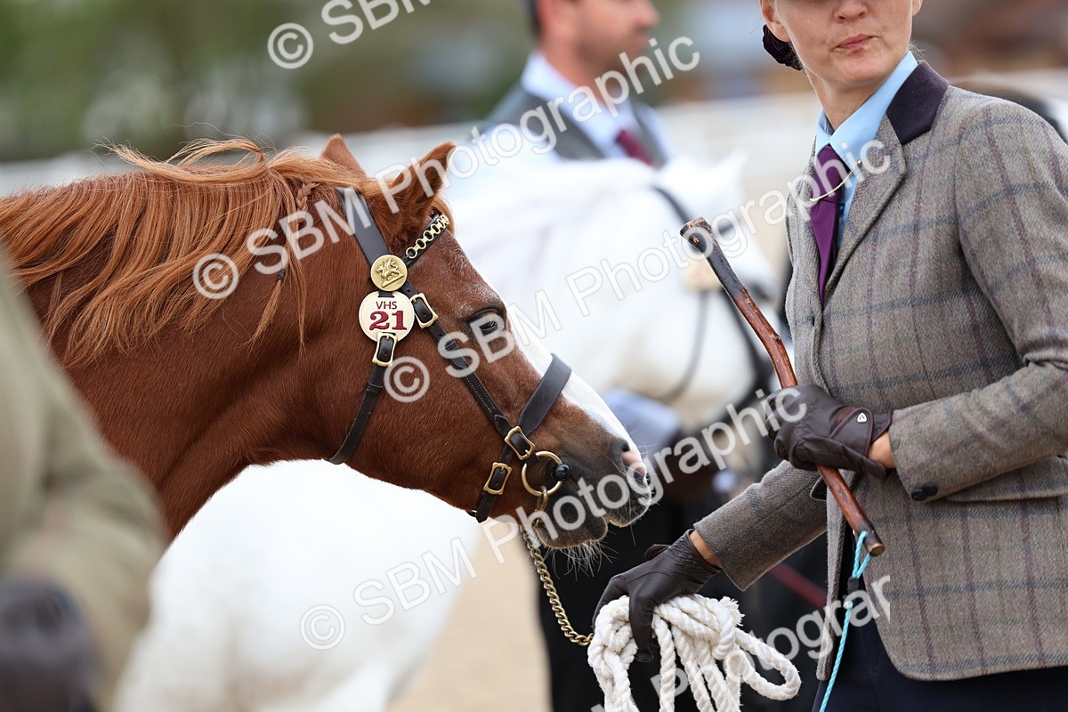 SBM_05963 - Class 29 - IH Veteran Pony