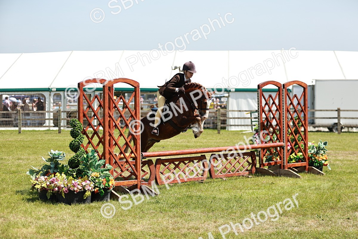 SBM_15500 - Class 108-109 - BSPS LIHS Open Gradle & Nursery Stakes
