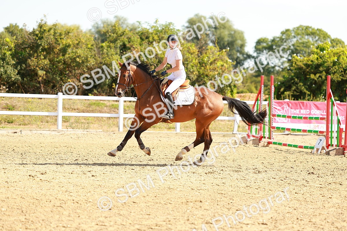 SBM_002678 - Class 9 - Senior British Novice - 90cm