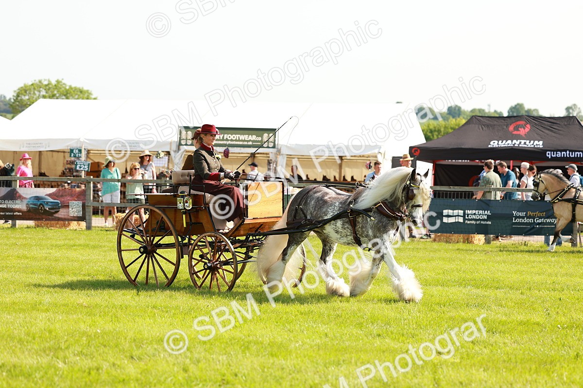SBM_02595 - Class 2-4 - HOYS Private Driving