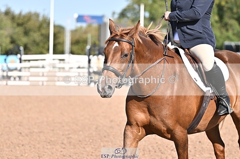 260812-093801-00064 - Cls 2 British Novice and 90cm