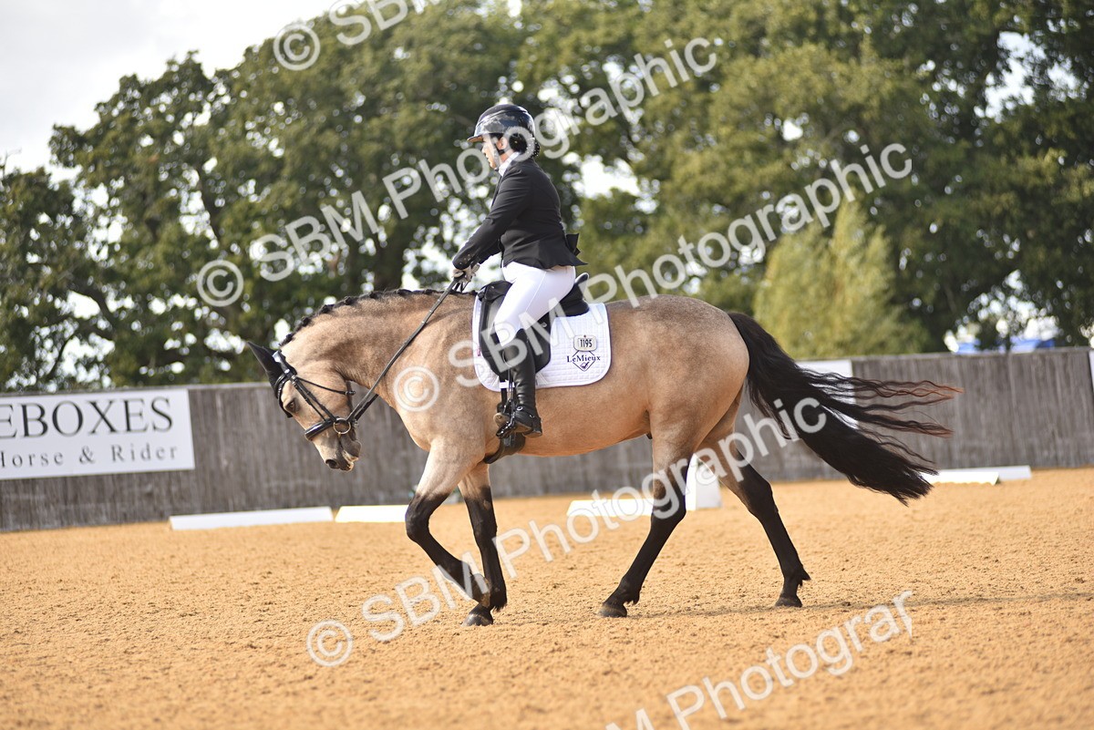 SBM_24281 - D4 - Small Tour Championship Intro 4