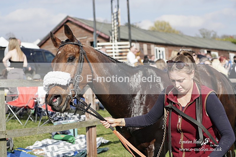 PtP 080423 675 - Dingley Races The Woodland Pytchley Hunt PtP 08/04/23