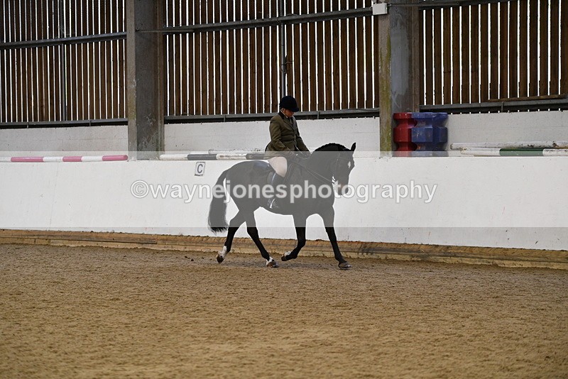WJ5_7677 - Class 13 Ridden Part Breed