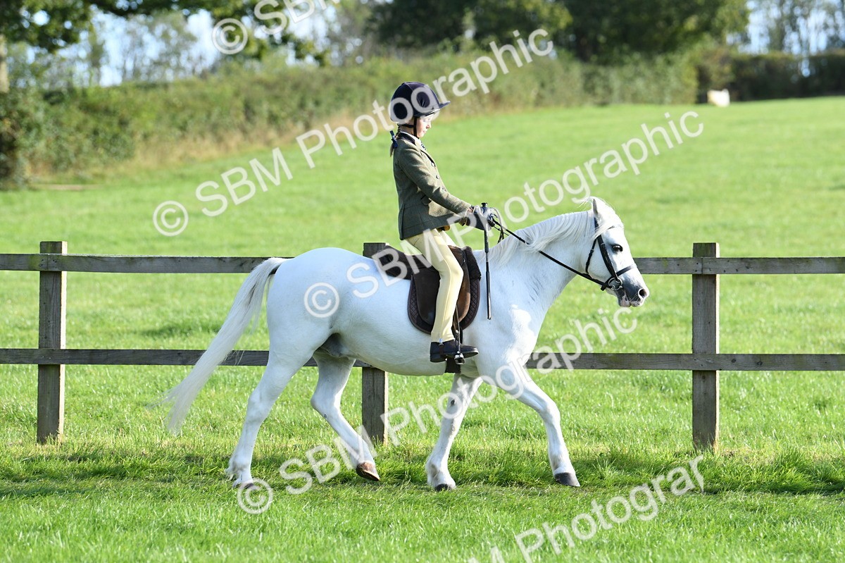 SBM_54021 - S23 - 1st Ridden Mountain & Moorland Pony