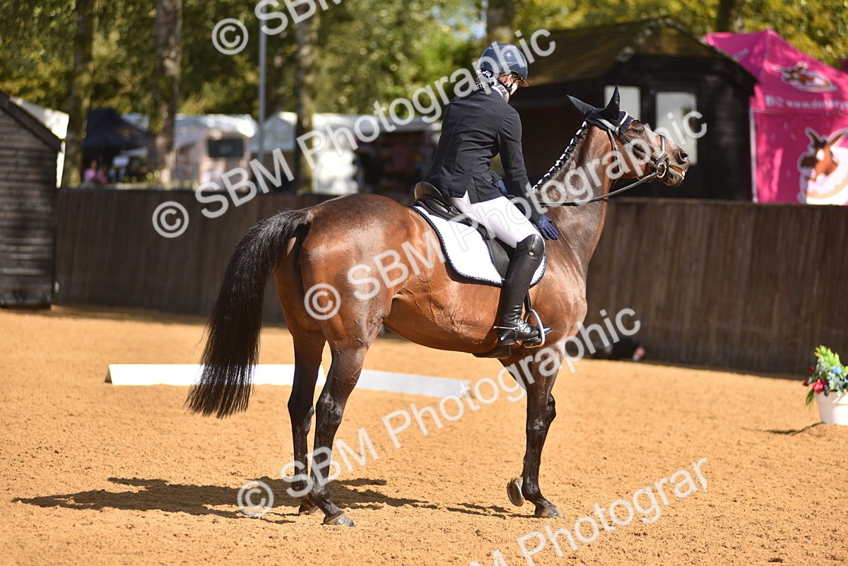 SBM_19969 - D4 - Small Tour Championship Intro 4