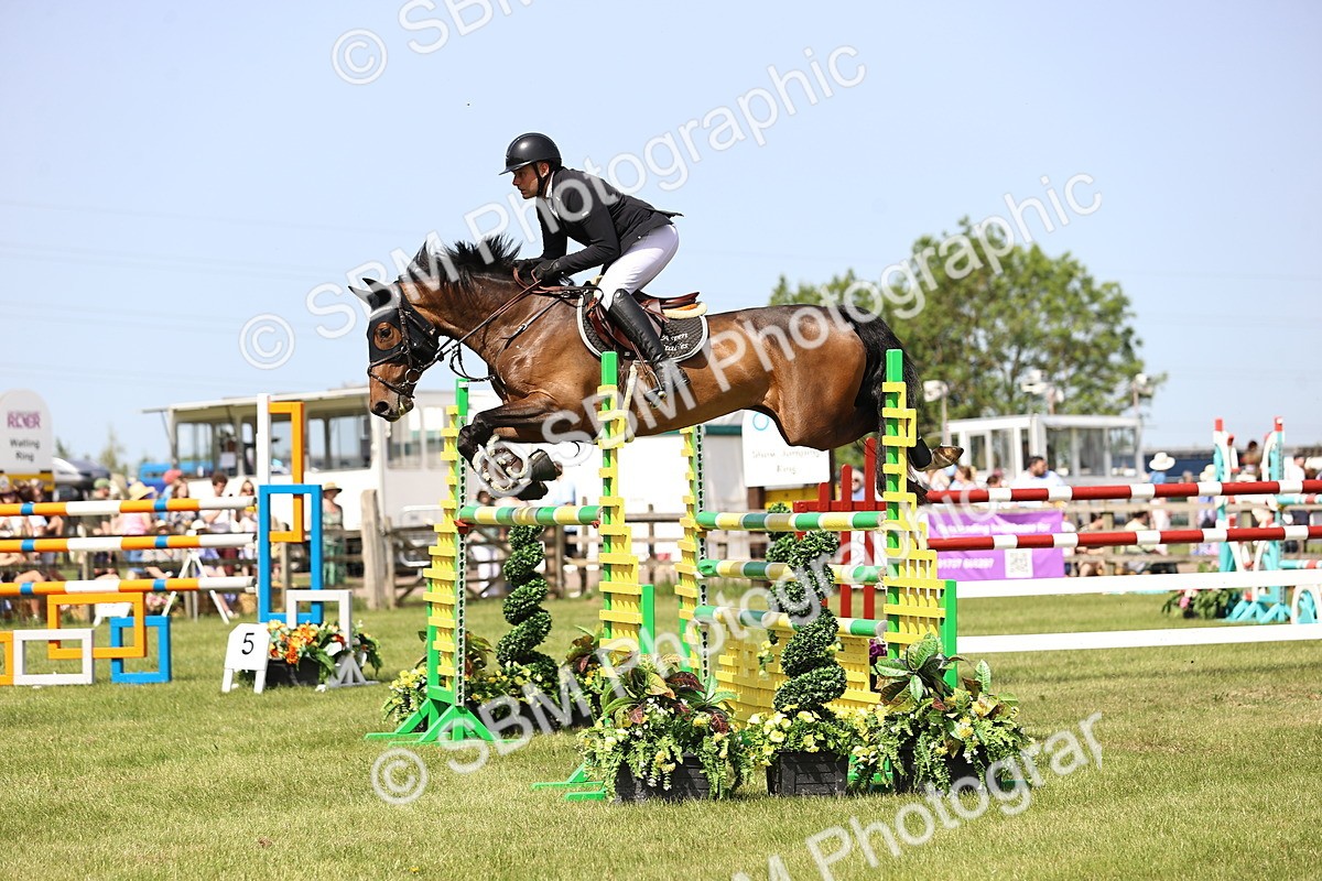 SBM_03259 - Class 201 - British Horse Feedds Speedi Beet HOYS Grade C