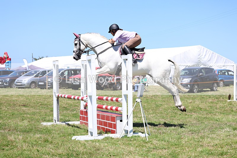 3E7A5661 - Class 9: Senior British Novice/90cm open