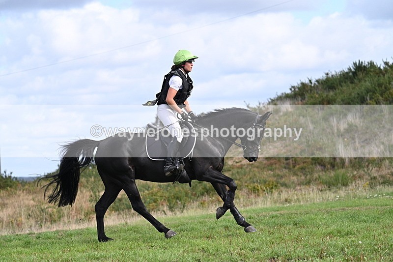 WJ7_1288 - Time 12:34 to 13:16