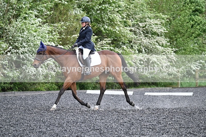 WJ7_1275 - Time 14:16 to 14:55