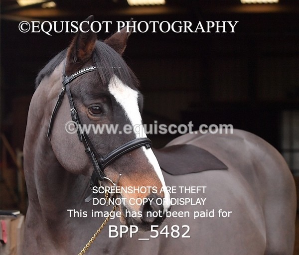 BPP_5482 - Morag Johnston