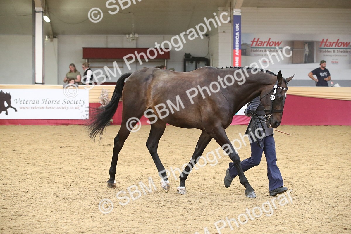 SBM_05704 - Class 9R - Regional IH Pre-Vet