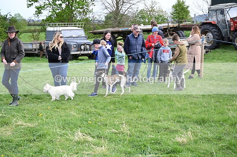 WJ6_8516 - Class 6 Best Rescue