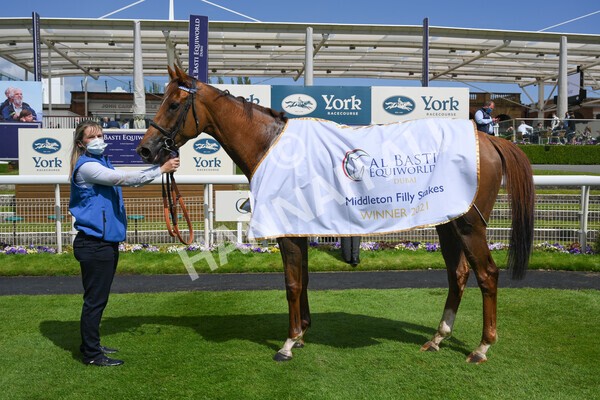 yr13052021r2-29 - Race 2 2.10pm Al Basti Equiworld Dubai Middleton Fillies' Stakes