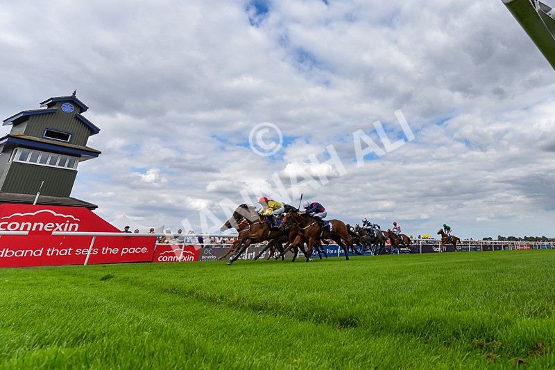 140825-Race 3-Rum Therapy-8815 - Race 3