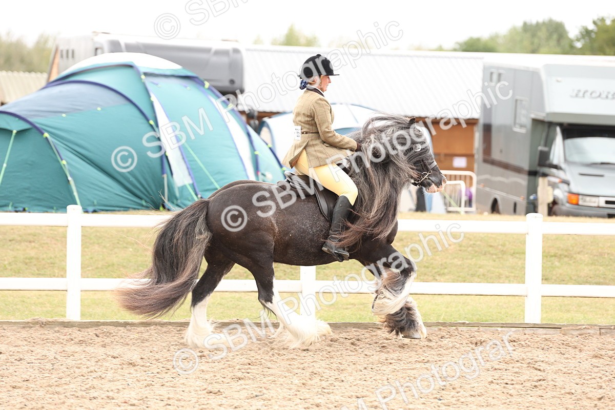 SBM_19656 - Class 216 - Ridden Traditional - Native Cob