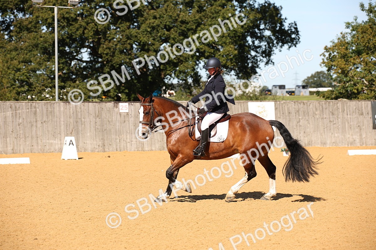 SBM_18519 - D31 - Grand Tour - PYO Open