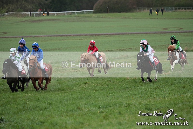 SHETPR 210425 162 - Shetland Ponies Paxford Races 21/04/25