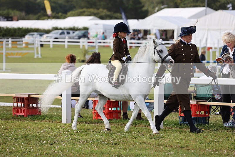 JPP_0248 - Class 14: Cornish Combination Leading Rein