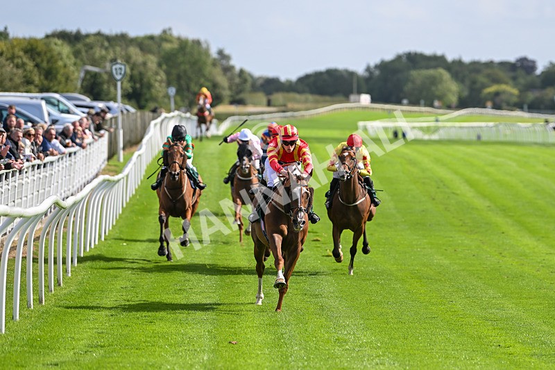 100924-Race 1-The Dancing Poet-9860 - Race 1