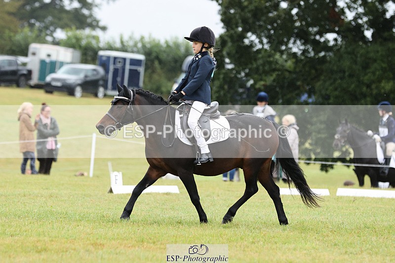 240824X-102558-22241 - D70 Section C and D 9.30 to 11.00