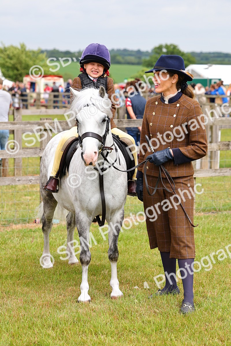 SBM_08315 - Class 42-43 - LIHS BSPS Heritage Working Sports Pony