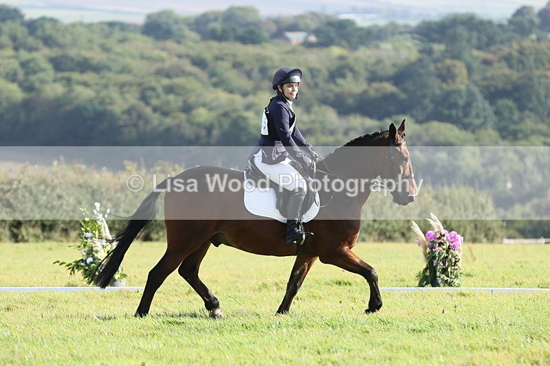 JPP_7945 - Class 2A: Trekenning Open: Dressage