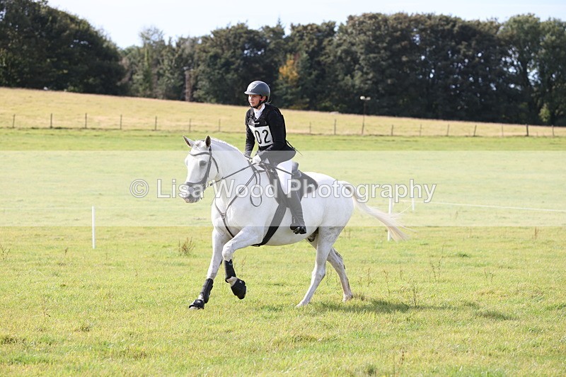 JPP_8570 - Class 2: Trekenning: 80cm Showjumping