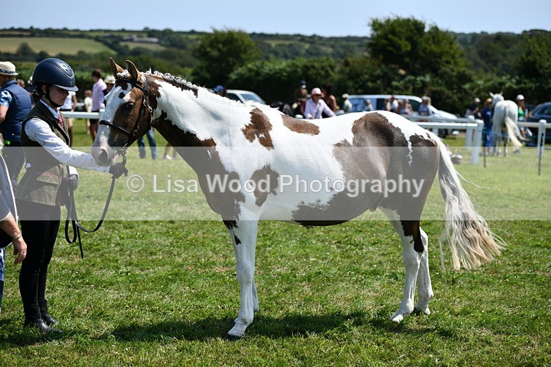 DSC_7765 - Class 64: Coloured Pony 4yrs & over